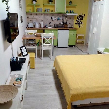 Studio Jolie Apartment โนวีซาด ภายนอก รูปภาพ
